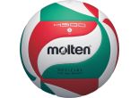 Volley-ball en fusion V5M4500