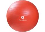 Gymball orange Ø55 cm bulk