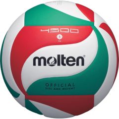 Volley-ball en fusion V5M4500