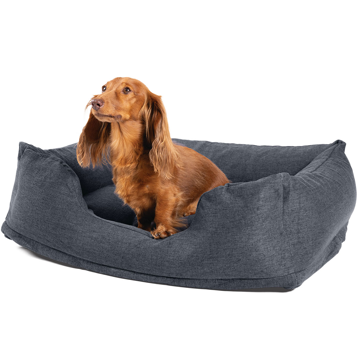 Pet bed